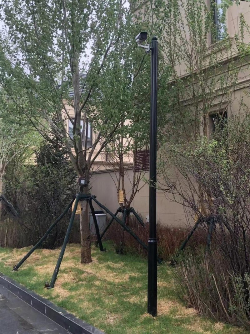 哈尔滨监控立杆