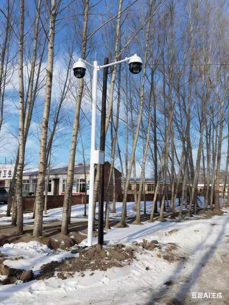 哈尔滨监控立杆