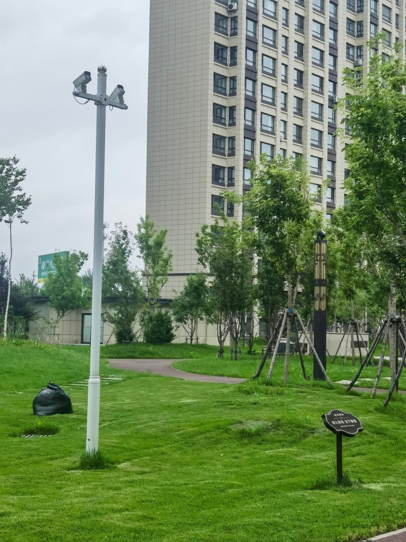 哈尔滨监控立杆